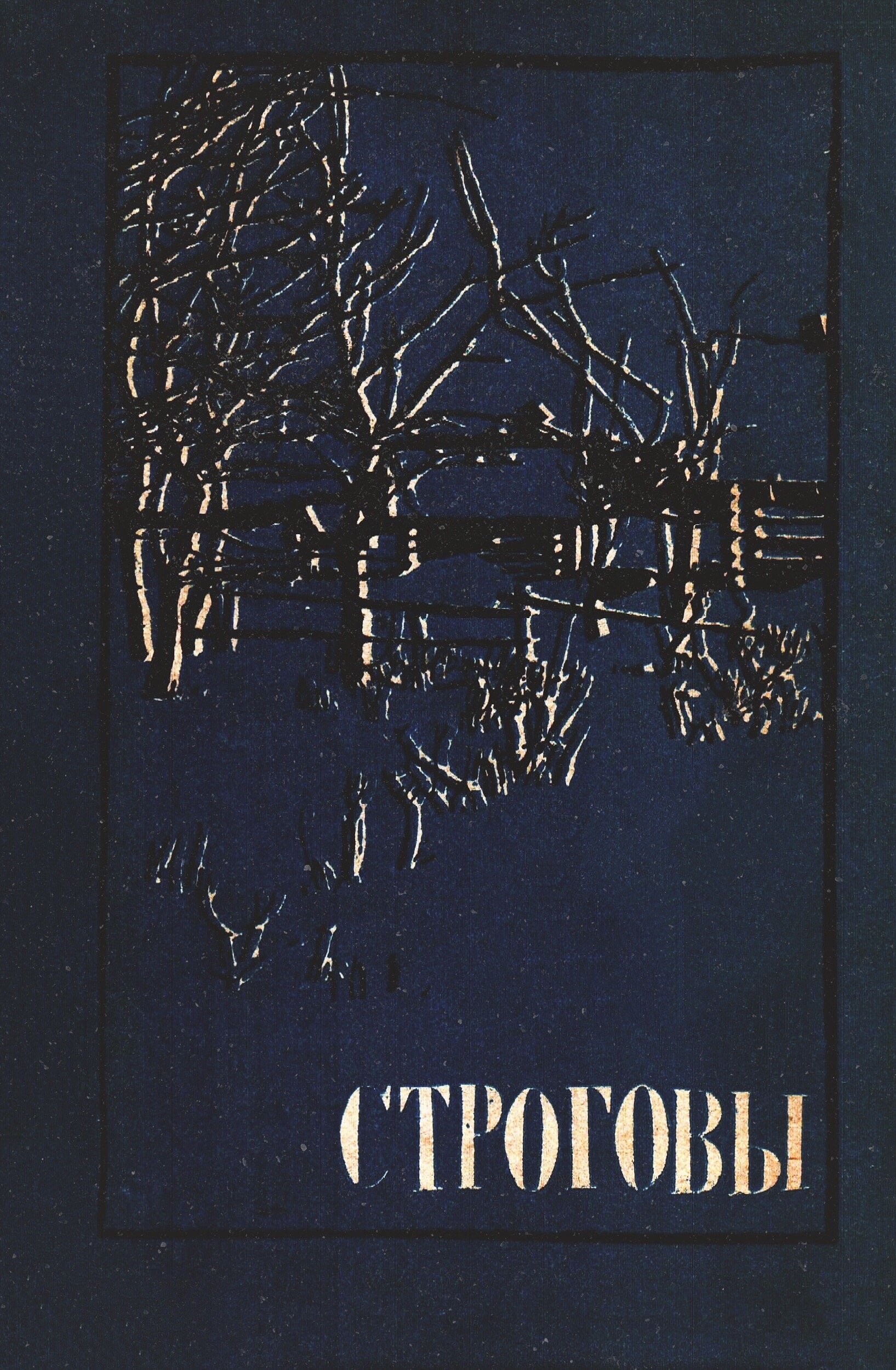 Постер Строговы